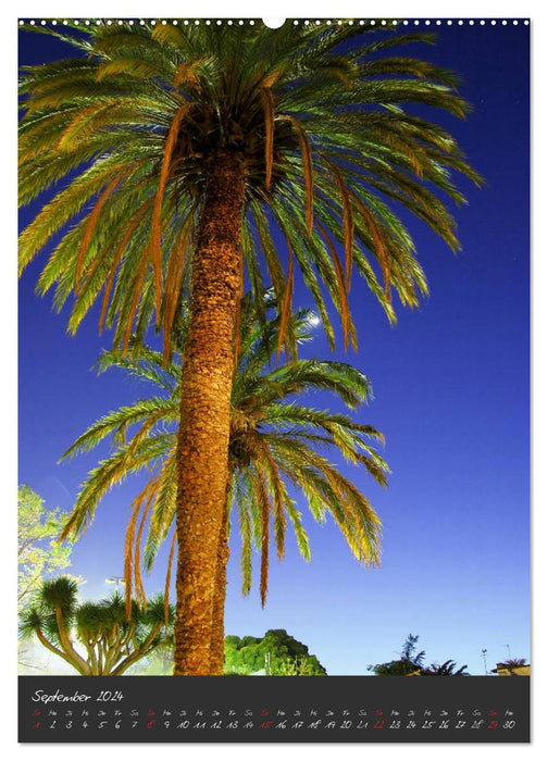 TENERIFFA (CALVENDO Wandkalender 2024)