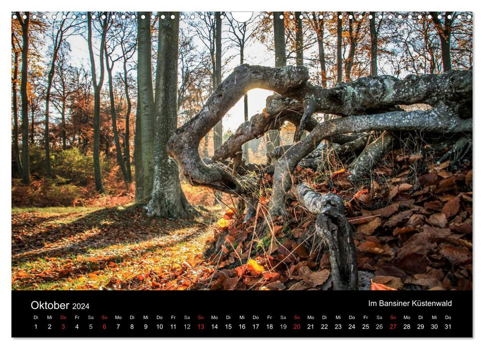 Die Insel Usedom in Bildern (CALVENDO Wandkalender 2024)