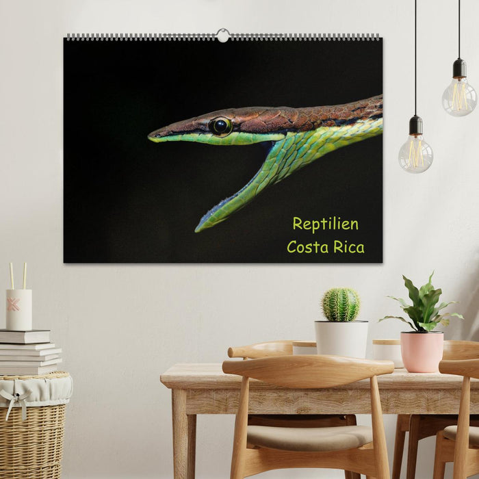 Reptilien Costa Rica (CALVENDO Wandkalender 2024)
