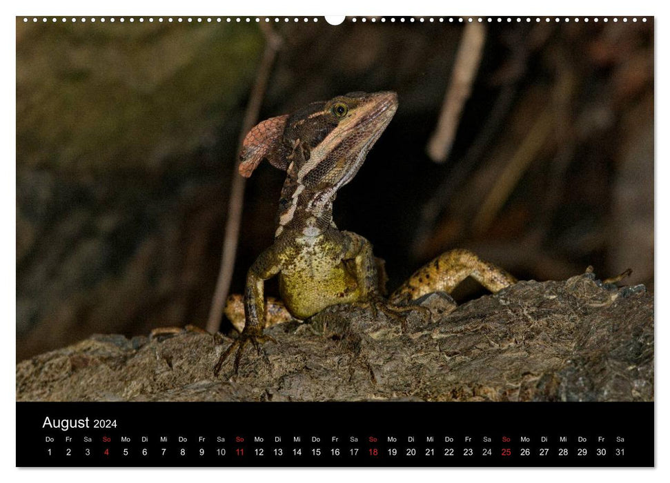 Reptilien Costa Rica (CALVENDO Wandkalender 2024)