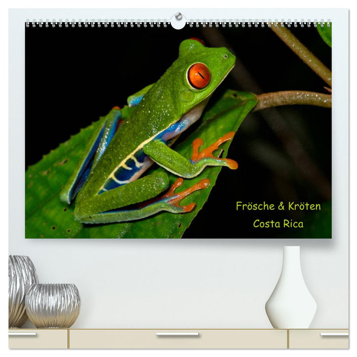 Frösche & Kröten Costa Rica (CALVENDO Premium Wandkalender 2024)