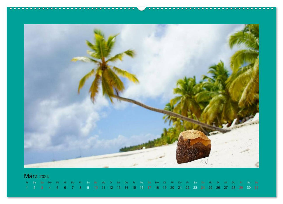Die schönsten Strände Karibik (CALVENDO Wandkalender 2024)
