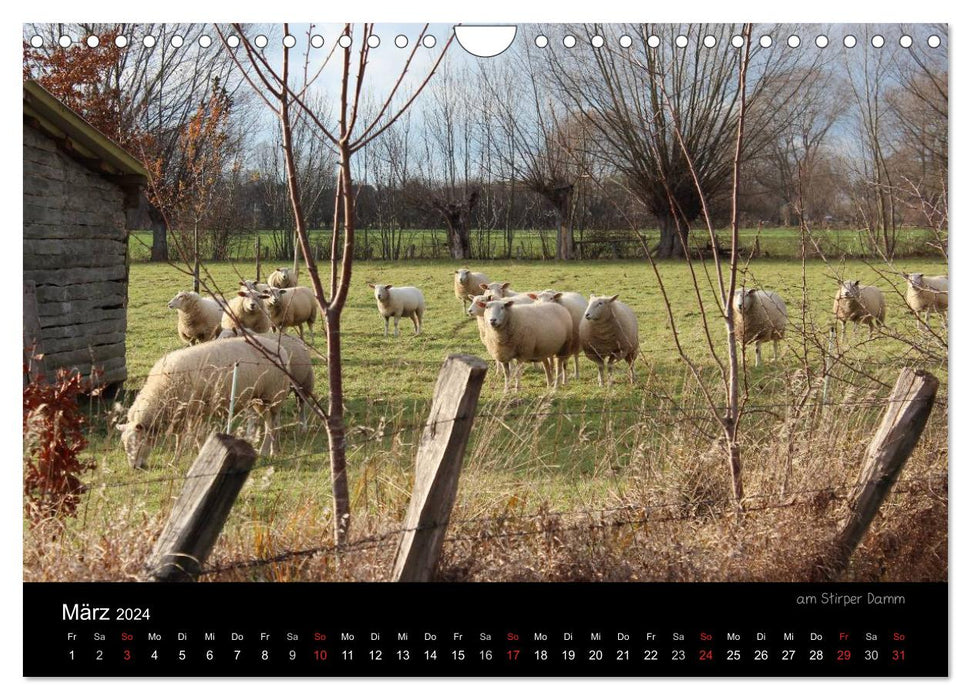 Erwitte und Umland (CALVENDO Wandkalender 2024)