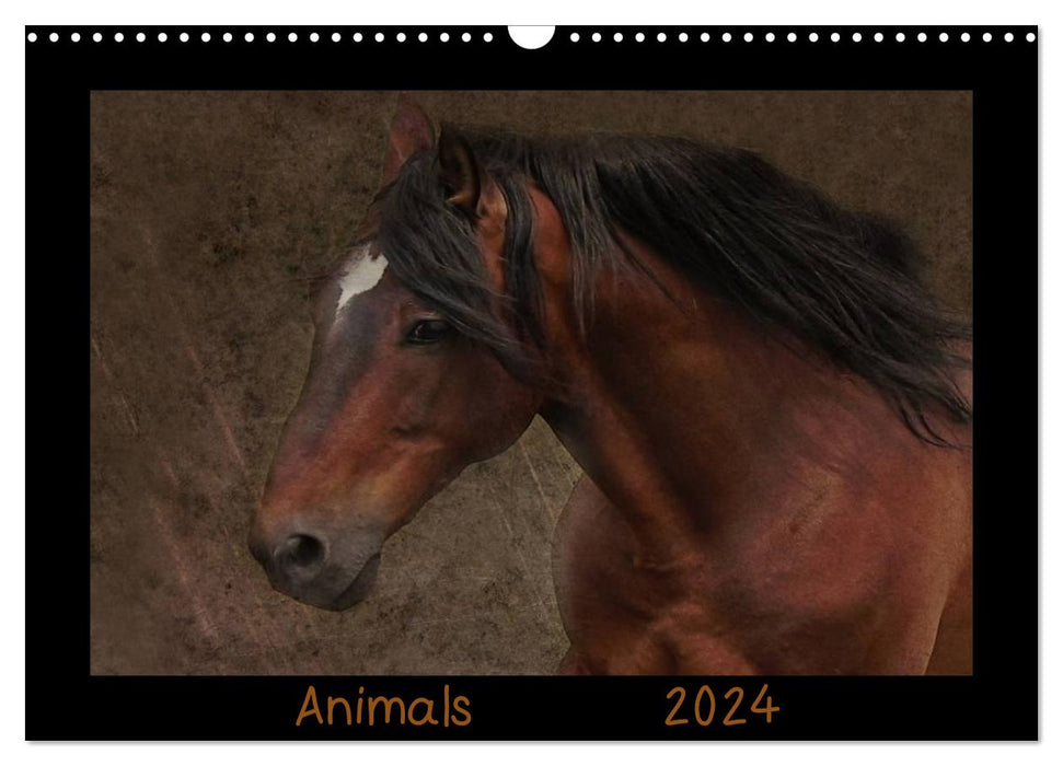 Animals (CALVENDO Wandkalender 2024)