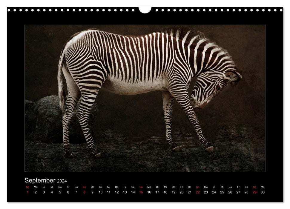 Animals (CALVENDO Wandkalender 2024)