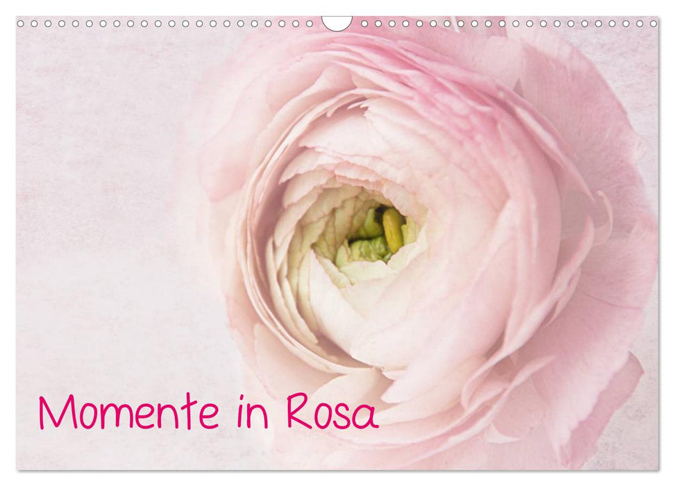Momente in Rosa (CALVENDO Wandkalender 2024)