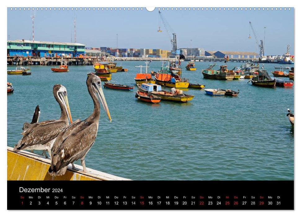 El Norte de Chile - Nord du Chili (calendrier mural CALVENDO 2024) 