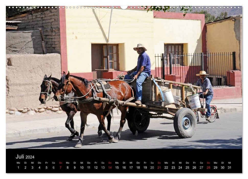 El Norte de Chile - Nord du Chili (calendrier mural CALVENDO 2024) 