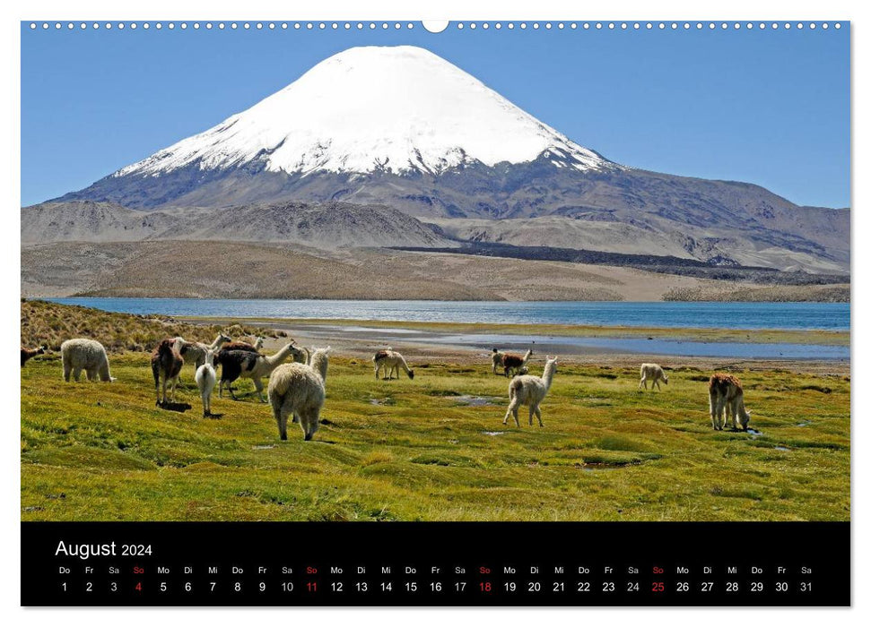 El Norte de Chile - Nord du Chili (calendrier mural CALVENDO 2024) 