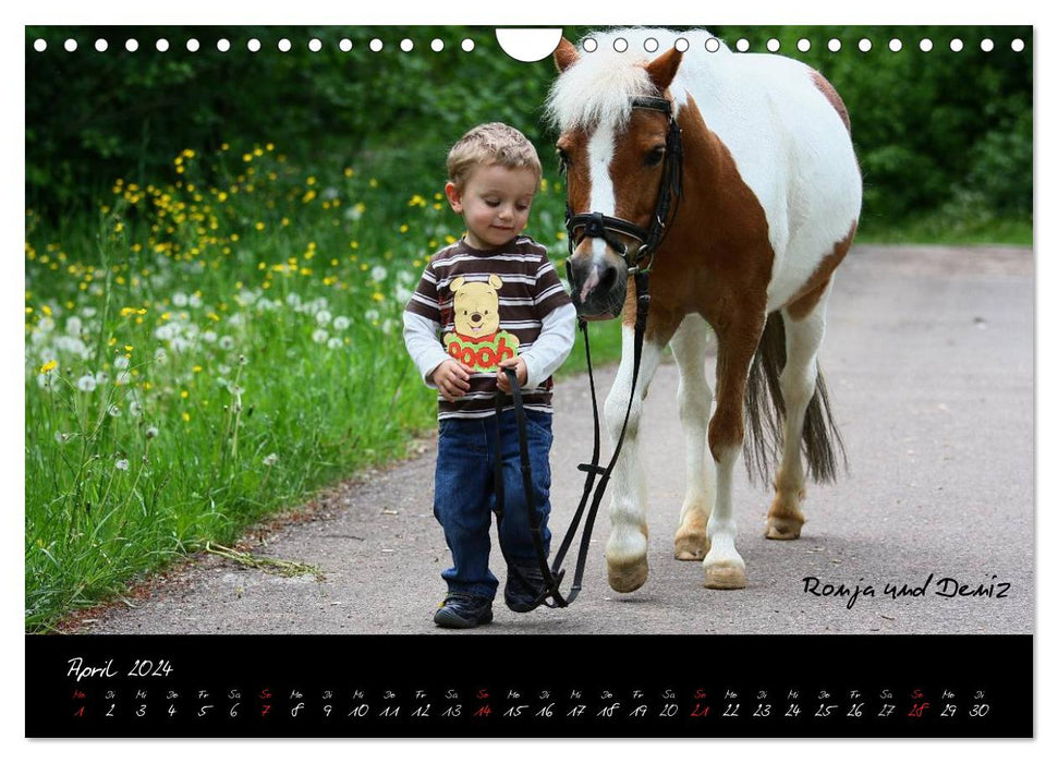 Chevaux - créatures merveilleuses (calendrier mural CALVENDO 2024) 