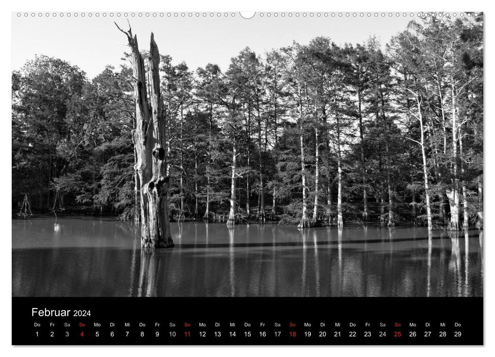 Mississippi, pays du blues (calendrier mural CALVENDO 2024) 