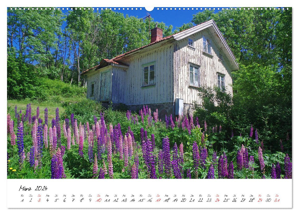 La diversité de la Suède (calendrier mural CALVENDO 2024) 