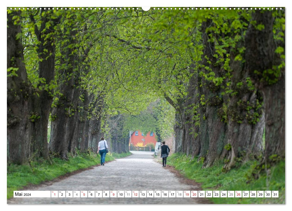 Moments d'émotion : Rügen et falaises de craie (calendrier mural CALVENDO 2024) 