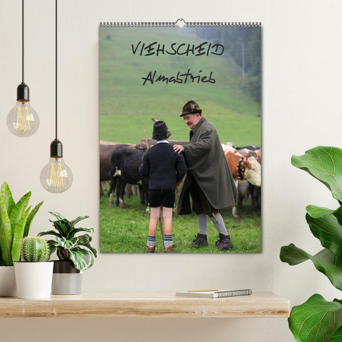 Collecte de bétail de Viehscheid (calendrier mural CALVENDO 2024) 