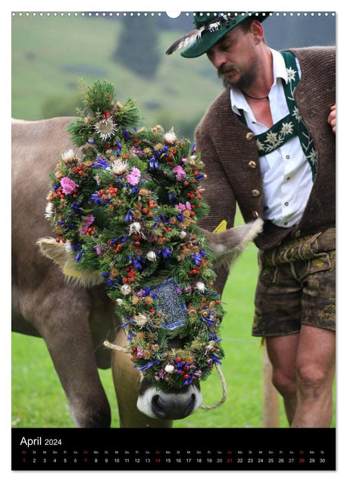 Viehscheid Almabtrieb (CALVENDO Wandkalender 2024)