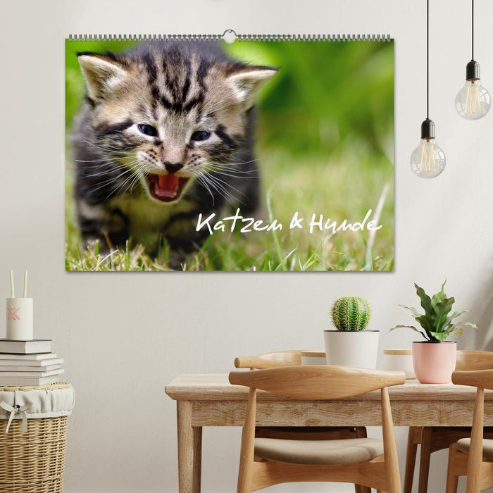 Chats &amp; Chiens (Calendrier mural CALVENDO 2024) 