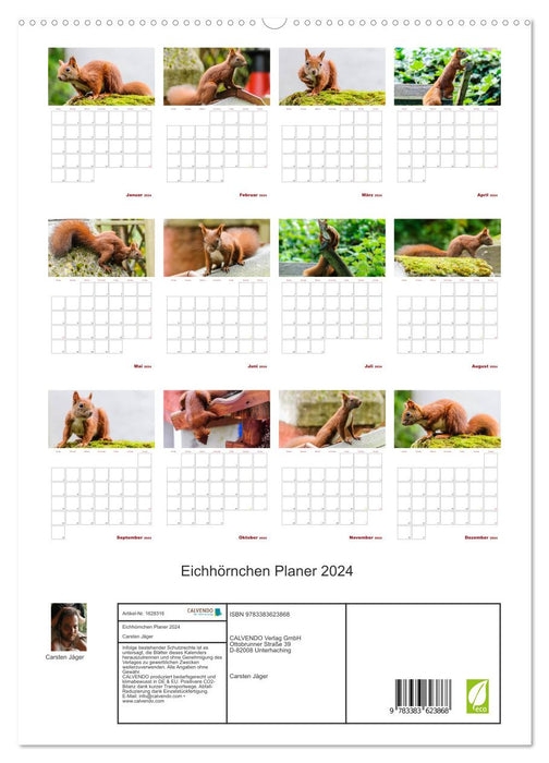 Planificateur écureuil 2024 (calendrier mural CALVENDO Premium 2024) 