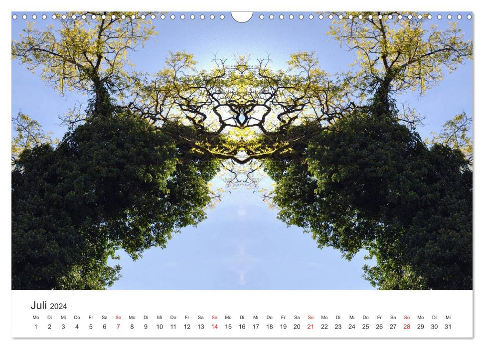 Spiegelwelten - Natur anders sehen (CALVENDO Wandkalender 2024)