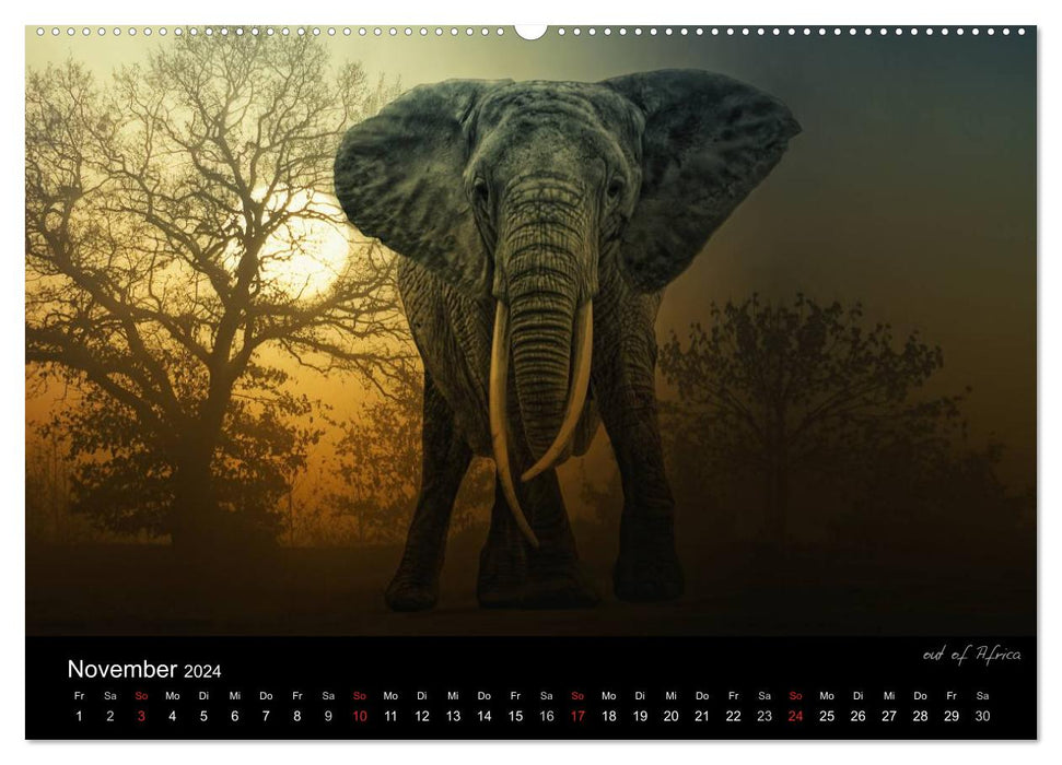 Tierisches (CALVENDO Premium Wandkalender 2024)