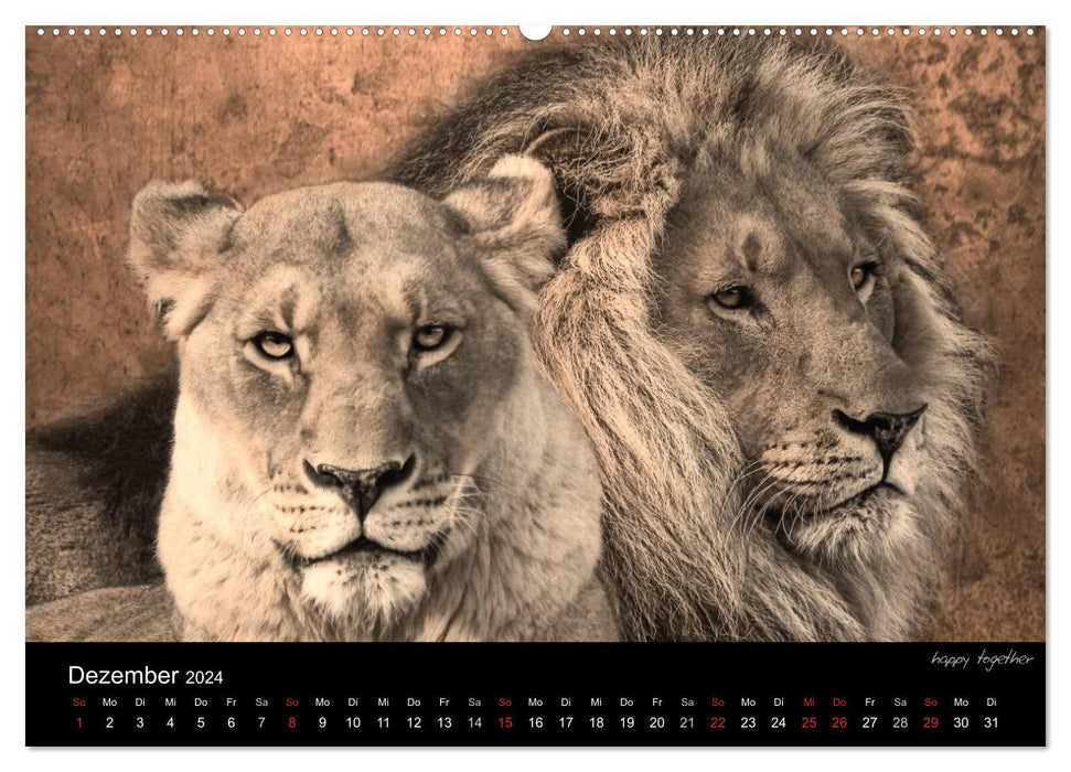 Animal (Calendrier mural CALVENDO Premium 2024) 