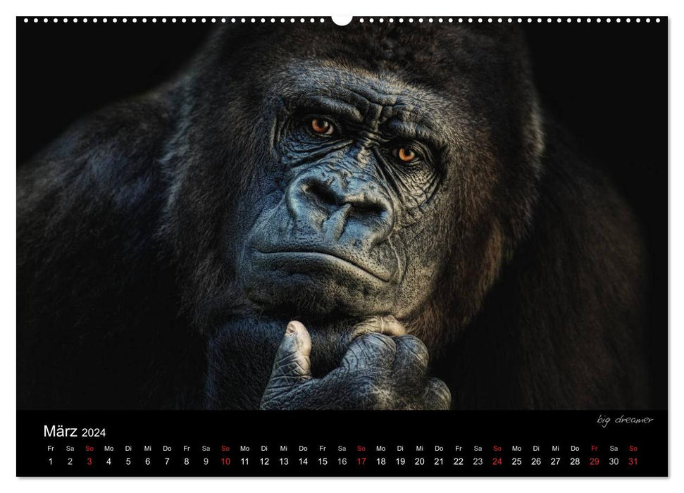 Tierisches (CALVENDO Premium Wandkalender 2024)