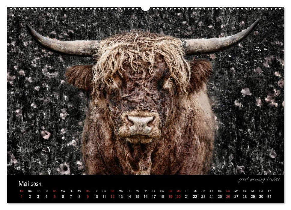 Tierisches (CALVENDO Premium Wandkalender 2024)