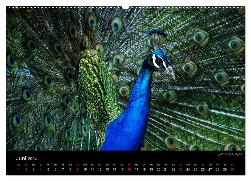 Animal (Calendrier mural CALVENDO Premium 2024) 