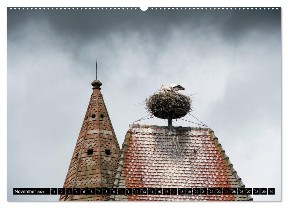 Sur la route en Alsace (Calendrier mural CALVENDO 2024) 