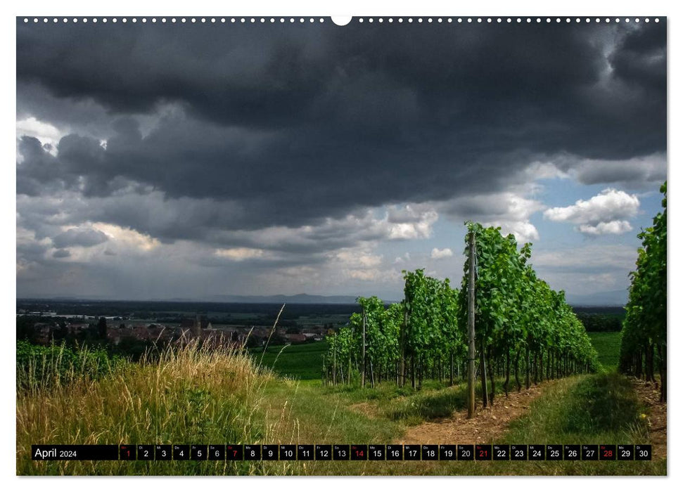 Sur la route en Alsace (Calendrier mural CALVENDO 2024) 