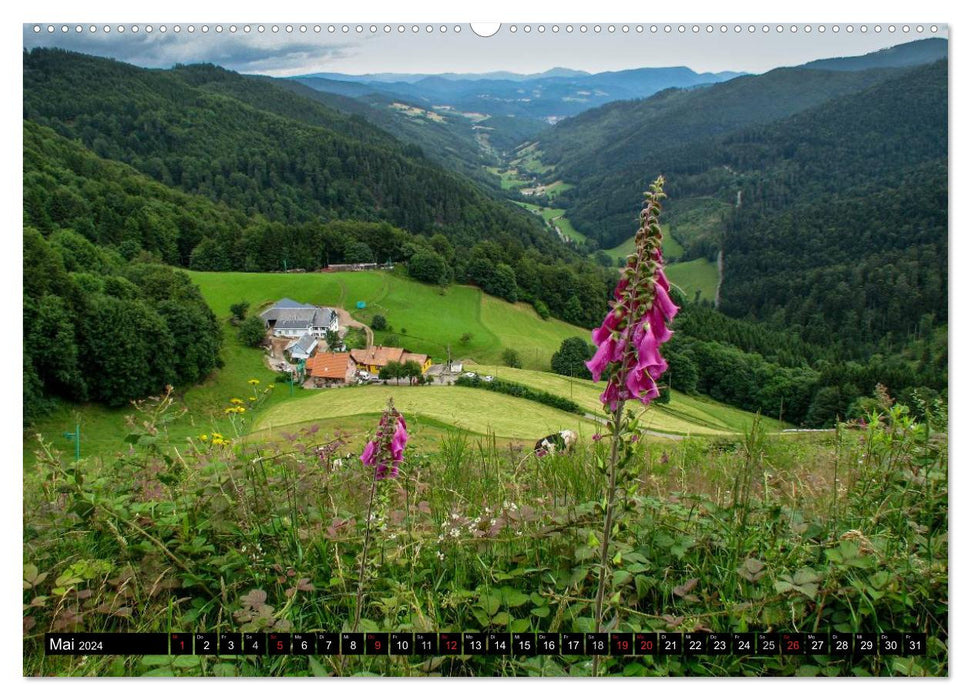 Unterwegs im Elsass (CALVENDO Wandkalender 2024)