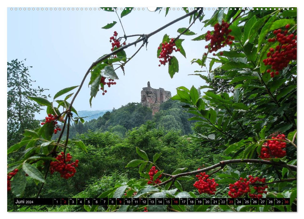 Sur la route en Alsace (Calendrier mural CALVENDO 2024) 