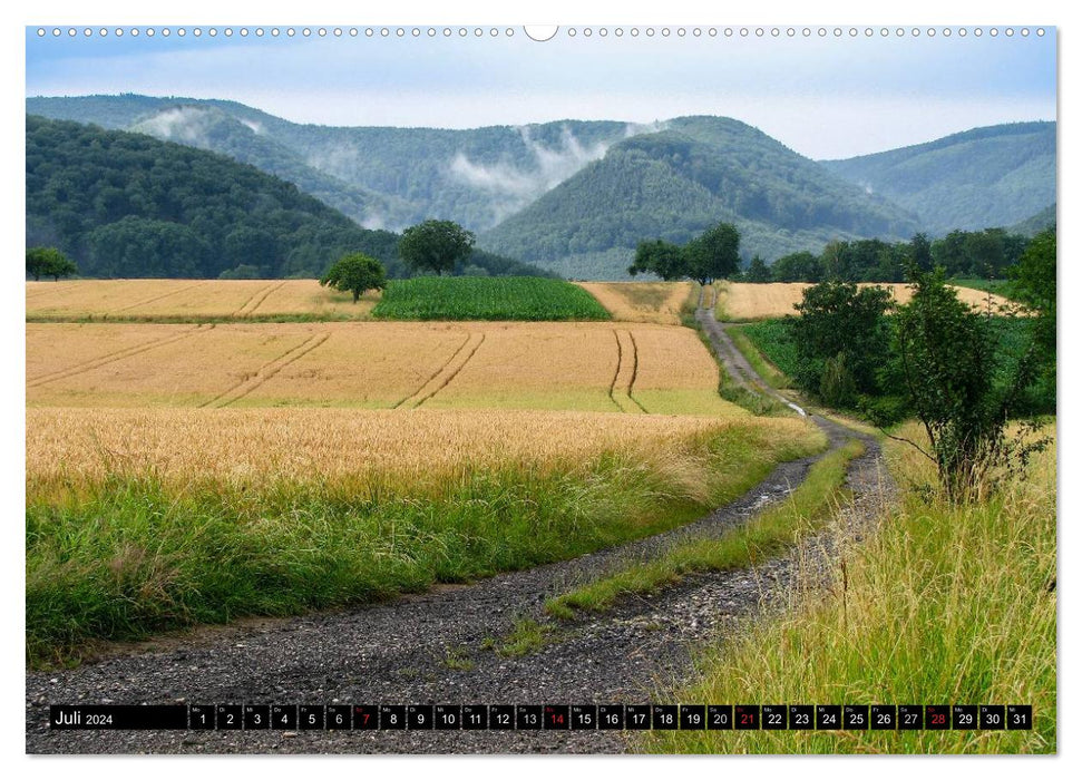 Sur la route en Alsace (Calendrier mural CALVENDO 2024) 