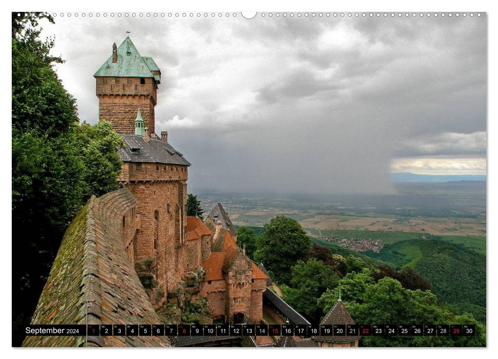 Sur la route en Alsace (Calendrier mural CALVENDO 2024) 