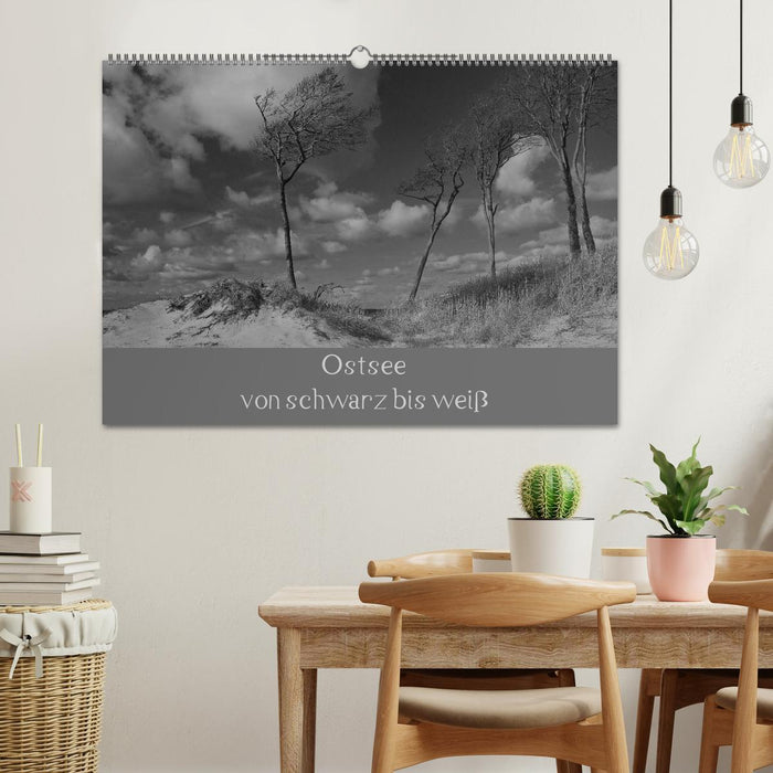 Ostsee - von schwarz bis weiß (CALVENDO Wandkalender 2024)