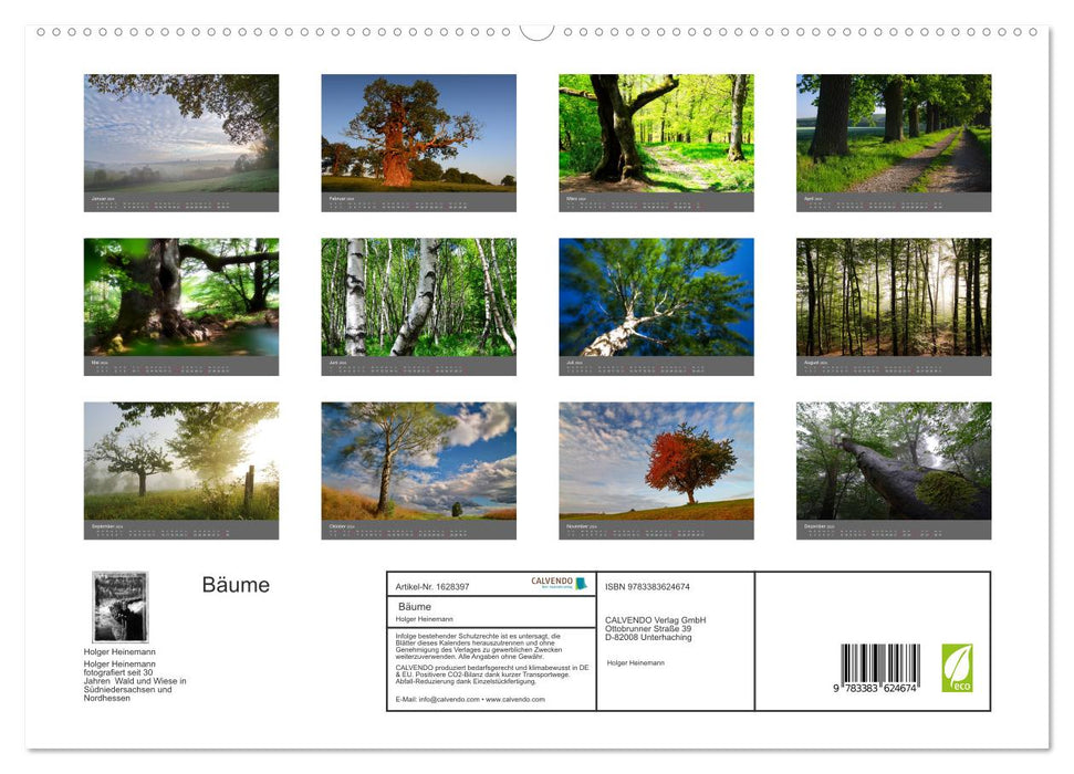 Bäume (CALVENDO Premium Wandkalender 2024)