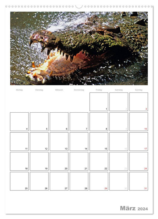 Australie – Planificateur de rendez-vous (calendrier mural CALVENDO 2024) 