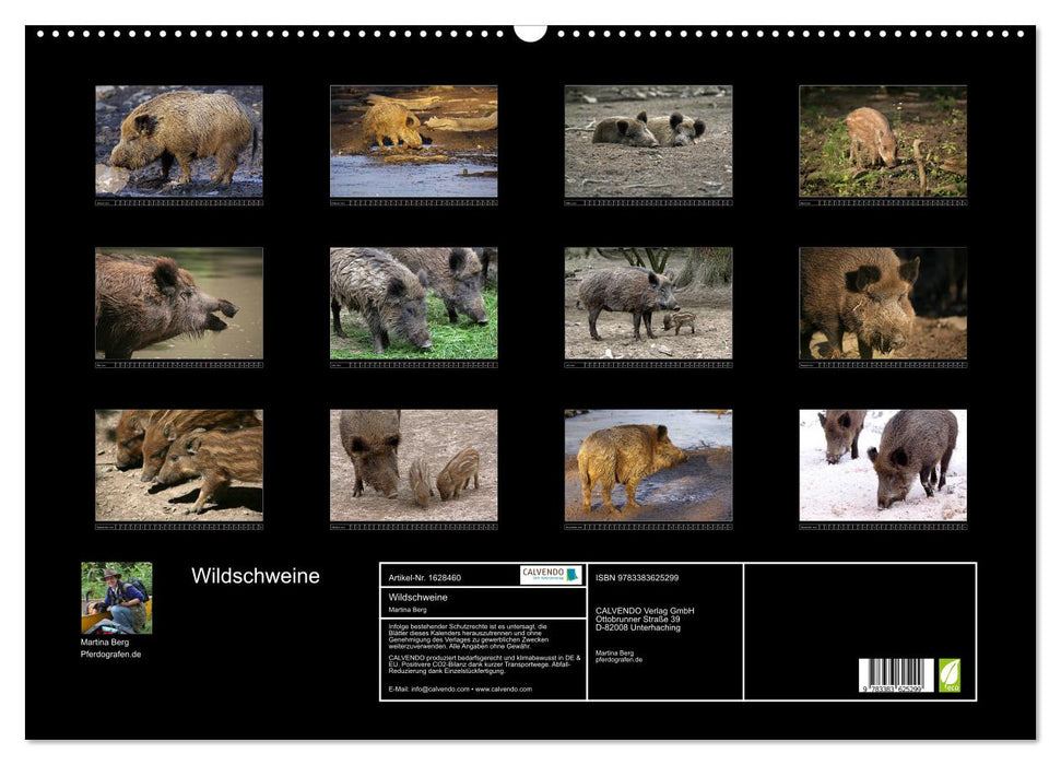 Wildschweine (CALVENDO Wandkalender 2024)