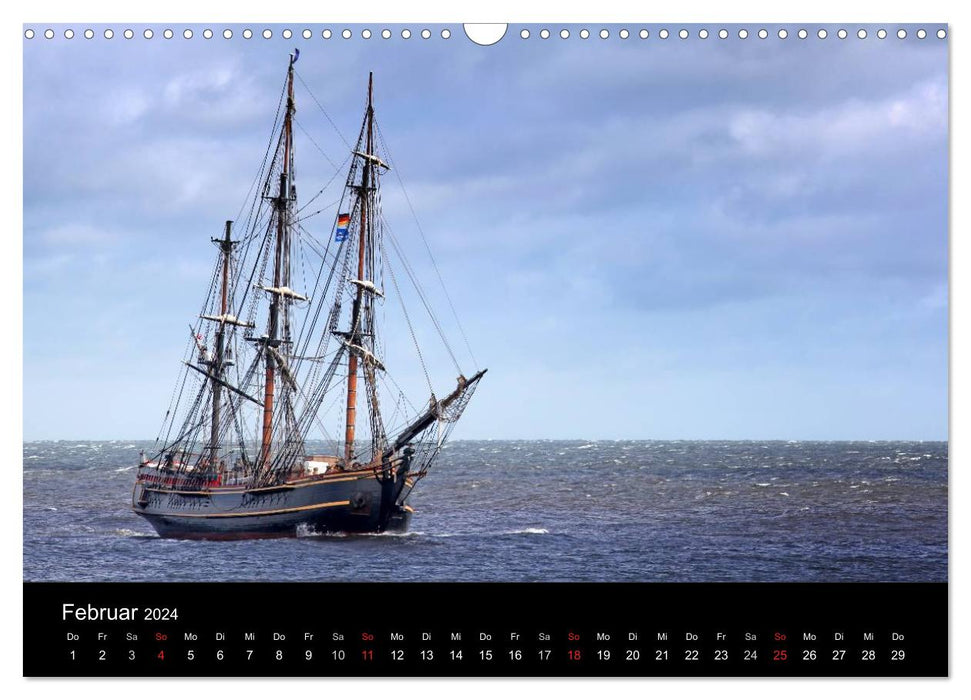 Baltic Sail (CALVENDO Wandkalender 2024)