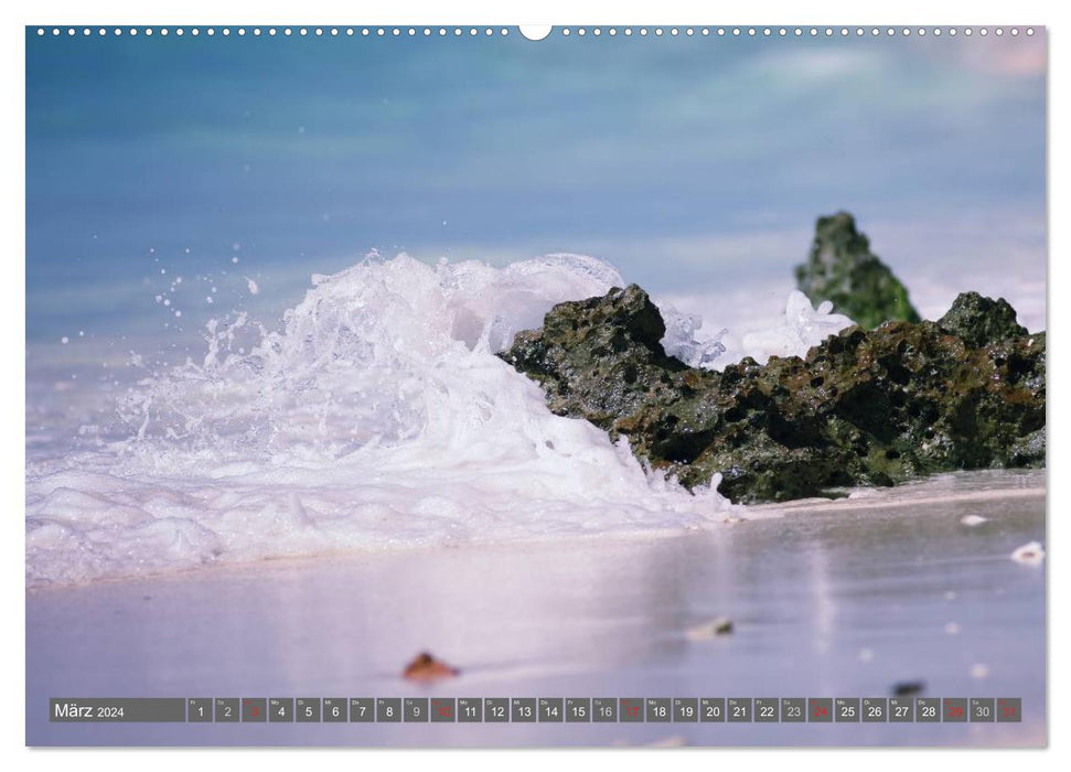 Sansibar (CALVENDO Wandkalender 2024)