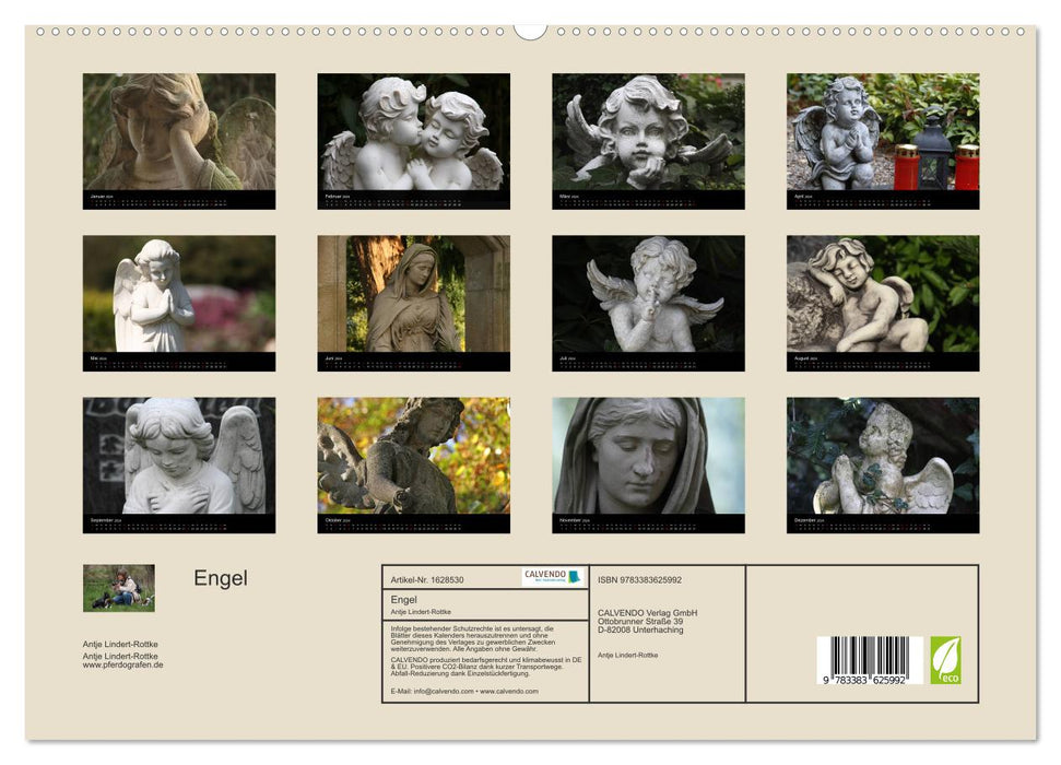 Engel (CALVENDO Premium Wandkalender 2024)