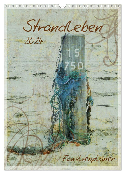 Strandleben - Familienplaner (CALVENDO Wandkalender 2024)