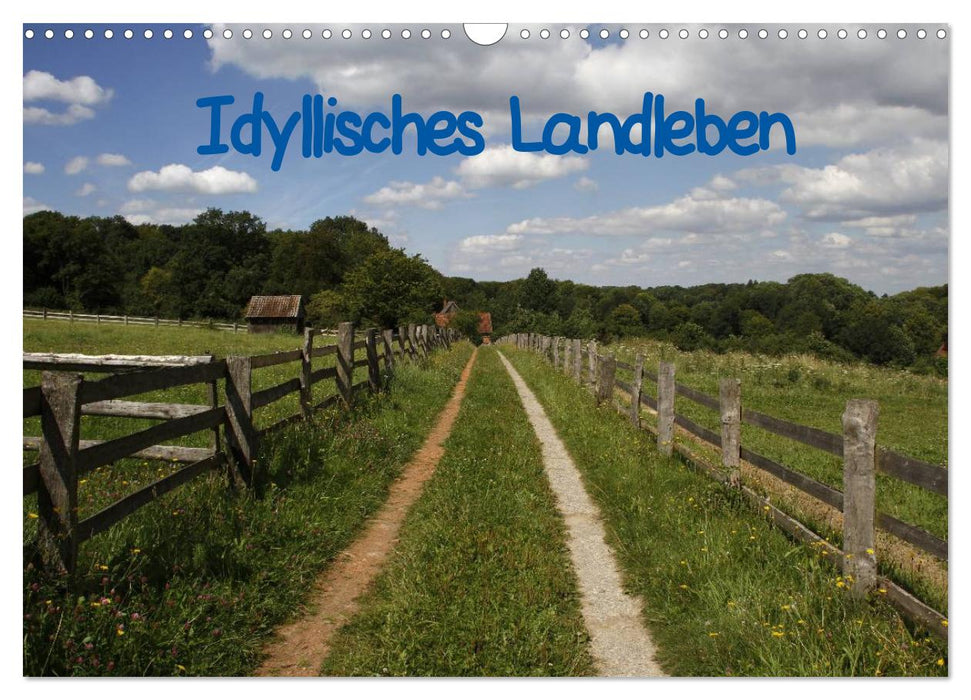 Idyllisches Landleben (CALVENDO Wandkalender 2024)