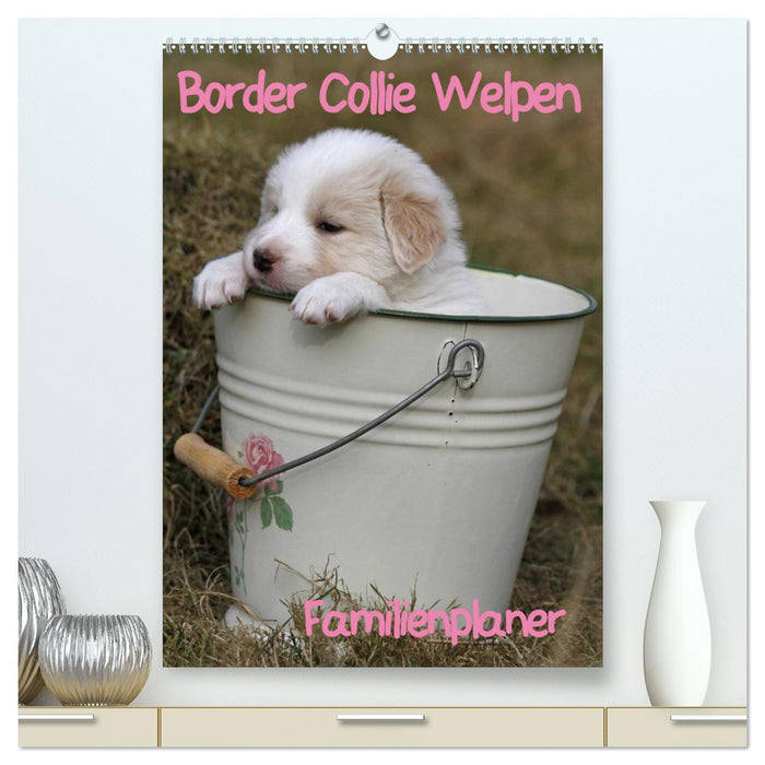 Border Collie Welpen - Familienplaner (CALVENDO Premium Wandkalender 2024)