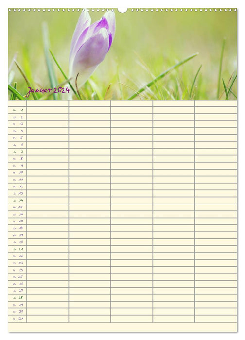 Der Naturgarten Familienplaner (CALVENDO Premium Wandkalender 2024)