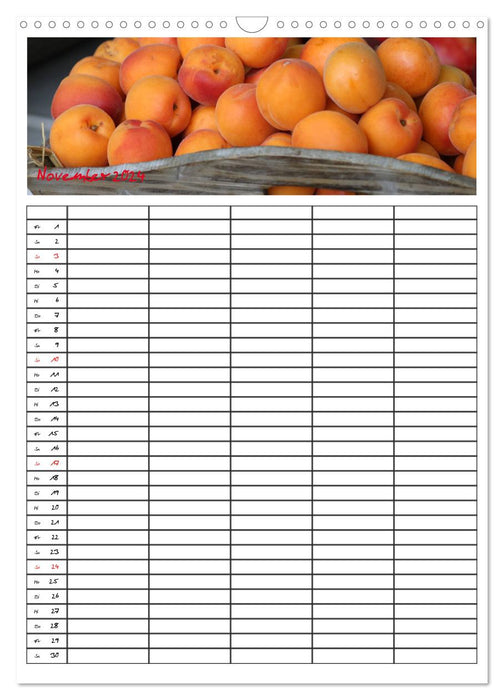 FOOD -Familienkalender (CALVENDO Wandkalender 2024)
