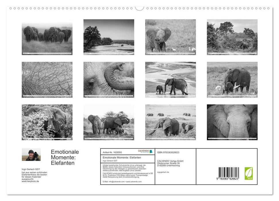 Emotionale Momente: Elefanten in black & white (CALVENDO Premium Wandkalender 2024)