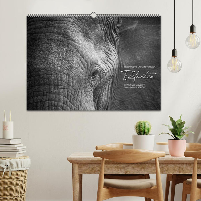 Moments d'émotion : éléphants en noir et blanc (calendrier mural CALVENDO 2024) 