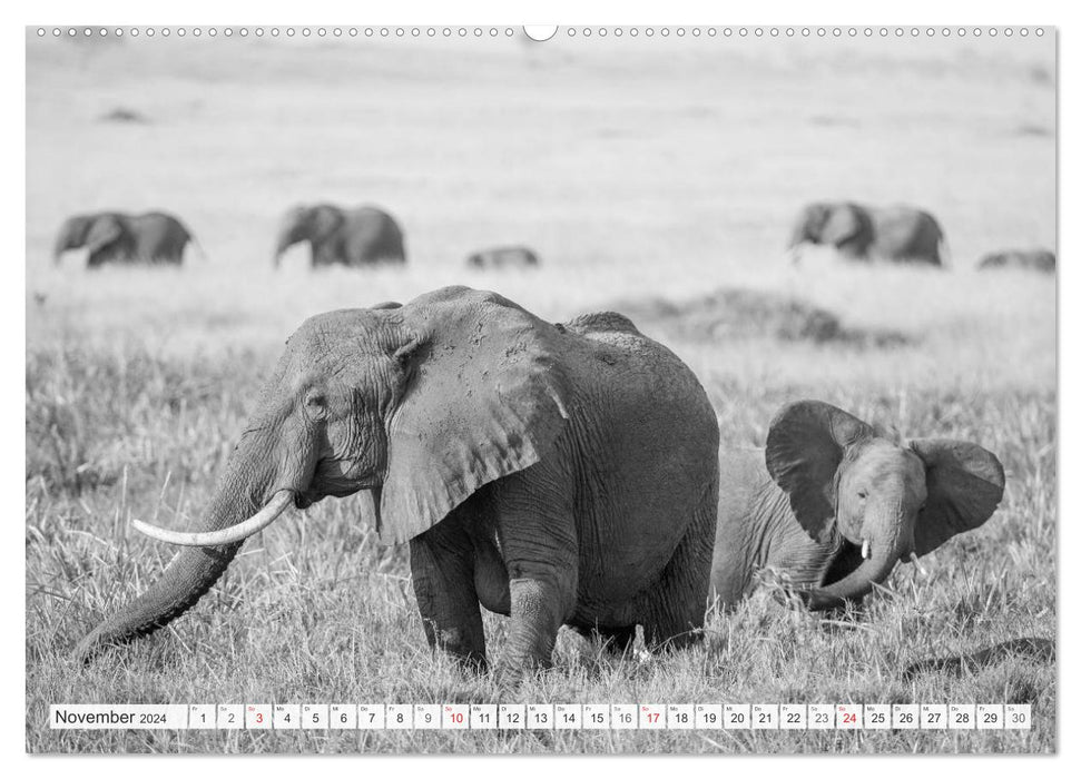 Emotionale Momente: Elefanten in black & white (CALVENDO Wandkalender 2024)