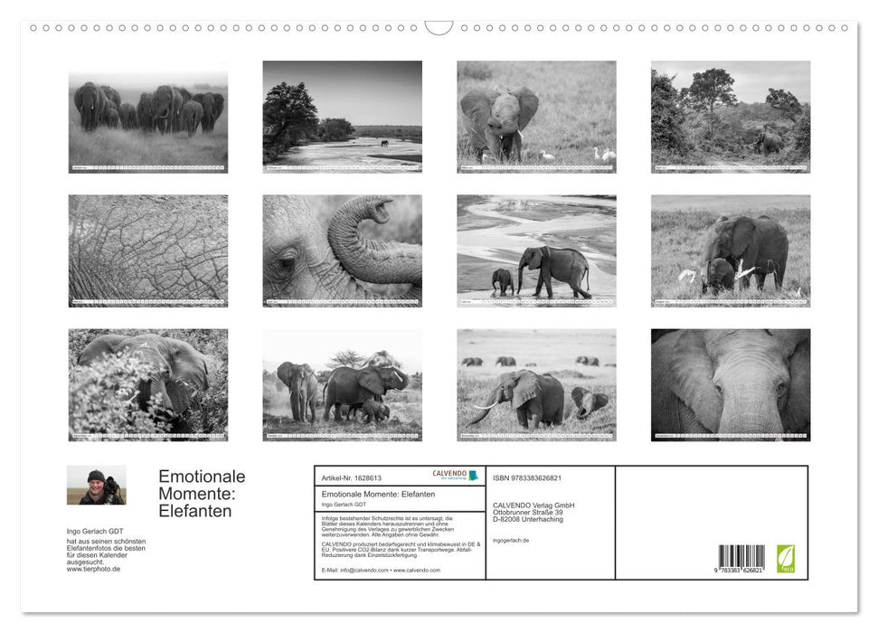 Moments d'émotion : éléphants en noir et blanc (calendrier mural CALVENDO 2024) 