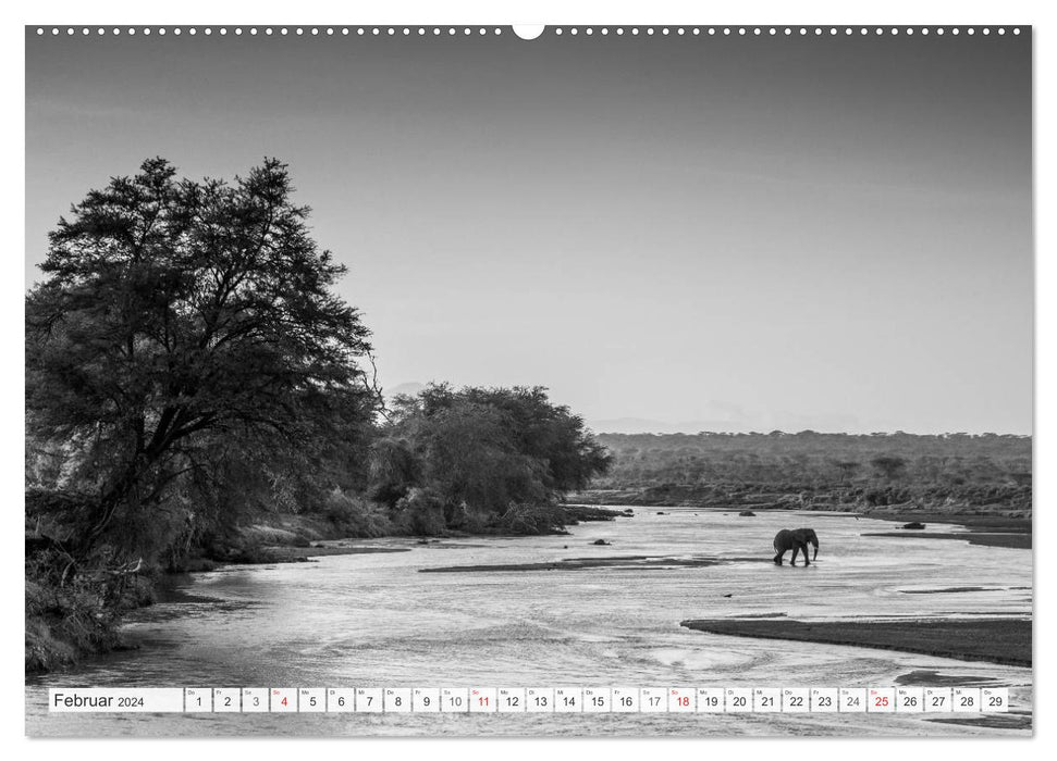 Emotionale Momente: Elefanten in black & white (CALVENDO Wandkalender 2024)